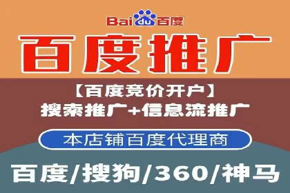 SEM代运营公司案例分析报告